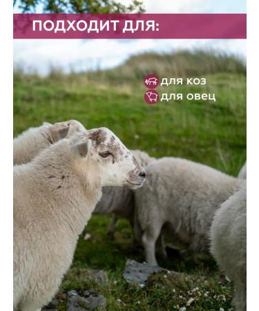 SKYAGRO Vitamins for goats and sheep betacoplyus with phyto antibiotics - Buy Online on GoSupps.com