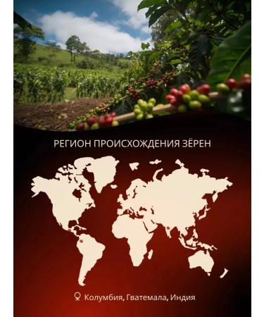 PASCUCCI Coffee in grains 1 kg Forte - Buy Online on GoSupps.com