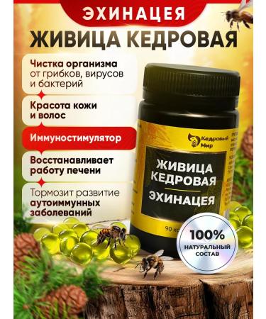 Cedar recipes Livitsa cedar echinacea for immunity - Buy Online on GoSupps.com