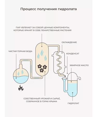 Lavender Land Facial hydrolyte - Buy Online on GoSupps.com