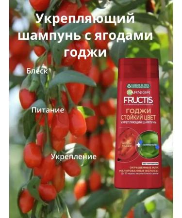 GARNIER Shampoo and balm Fructis persistent color - Buy Online on GoSupps.com