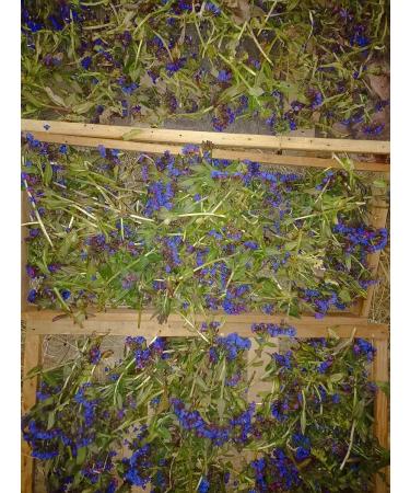 Taiga shop Lungwort - Buy Online on GoSupps.com