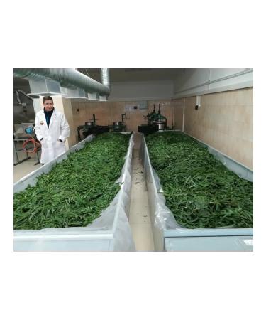 Mama Karelia Ivan-Ty Karelsky with lingonberries in a wooden box 40g - Buy Online on GoSupps.com