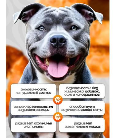 Golden Heart Winner Bulf of large dogs chewing ring - Buy Online on GoSupps.com