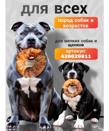 Golden Heart Winner Bulf of large dogs chewing ring - Buy Online on GoSupps.com