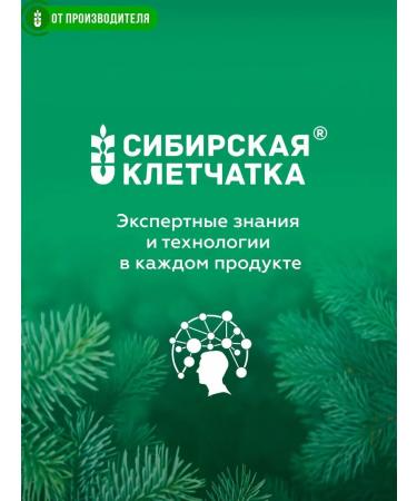 Siberian fiber Coniferous tea with chaga 20 bags - Buy Online on GoSupps.com