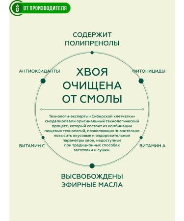 Siberian fiber Coniferous tea with chaga 20 bags - Buy Online on GoSupps.com