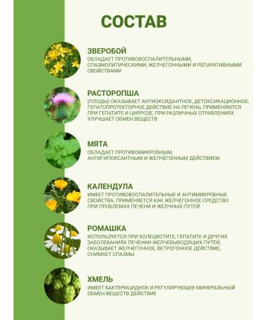 Altai cedar Herbal tea healthy liver 4 packs of 20 p p - Buy Online on GoSupps.com