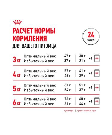 ROYAL CANIN Dry sterilated 37 food for sterilized cats 1.2 kg - Buy Online on GoSupps.com