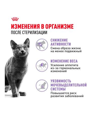 ROYAL CANIN Dry sterilated 37 food for sterilized cats 1.2 kg - Buy Online on GoSupps.com