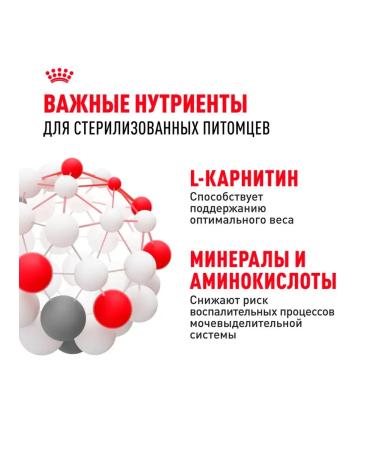 ROYAL CANIN Dry sterilated 37 food for sterilized cats 1.2 kg - Buy Online on GoSupps.com