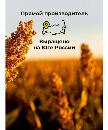 Sorgik Group of white sorghum is whole without gluten 1 kg - Buy Online on GoSupps.com