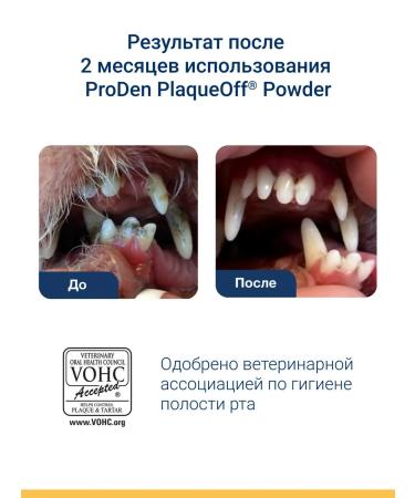 ProDen PlaqueOff Additive for tartar prevention in cats 40 g - Buy Online on GoSupps.com