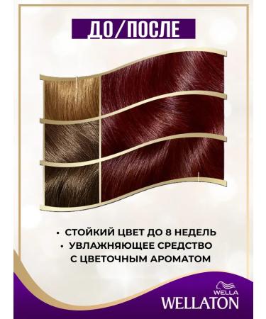WellaTON Sustainable hair dye 4 6 gods 2 pcs - Buy Online on GoSupps.com