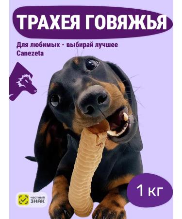 Canezeta T -shirt of beef for dogs