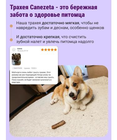 Canezeta T -shirt of beef for dogs - Buy Online on GoSupps.com