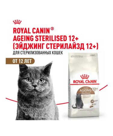 ROYAL CANIN Senior Ageing Sterilized 12+ Dry food for cats 2 kg - Buy Online on GoSupps.com