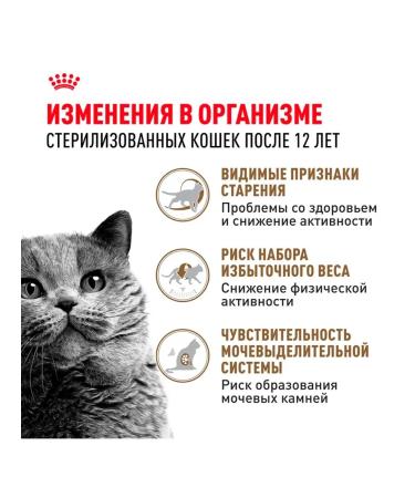 ROYAL CANIN Senior Ageing Sterilized 12+ Dry food for cats 2 kg - Buy Online on GoSupps.com