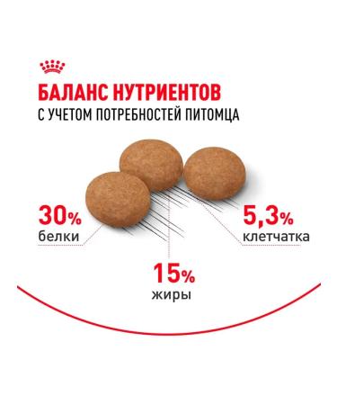 ROYAL CANIN Senior Ageing Sterilized 12+ Dry food for cats 2 kg - Buy Online on GoSupps.com