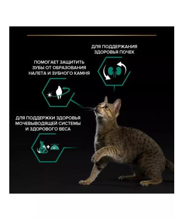 PRO PLAN Dry food for cats sterilized sterilized salmon 1.5 kg - Buy Online on GoSupps.com