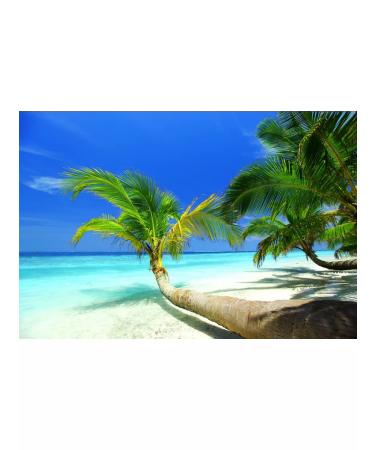 SKIN1004 Brighting sunscreen with centella SPF50 PA ++++ - Buy Online on GoSupps.com