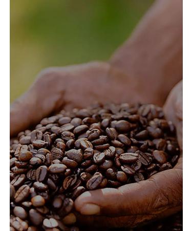 dallmayr Coffee in grains Dalmar Crema d'Ooro Arabica 1 kg - Buy Online on GoSupps.com