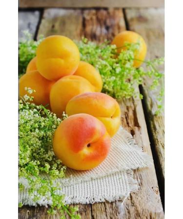 Gardens of Pridonya Children's apple-apricot juice without sugar 0.2 l 8 pcs - Buy Online on GoSupps.com