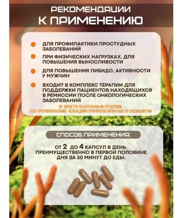 VirorDea Cordyceps military -60 capsules of 700 mg - Buy Online on GoSupps.com