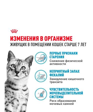 ROYAL CANIN Indoor 7+ Dry food for aging cats 1.5 kg indor - Buy Online on GoSupps.com