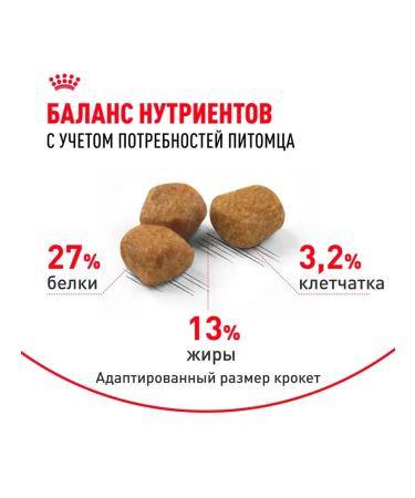 ROYAL CANIN Indoor 7+ Dry food for aging cats 1.5 kg indor - Buy Online on GoSupps.com