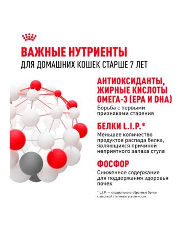 ROYAL CANIN Indoor 7+ Dry food for aging cats 1.5 kg indor - Buy Online on GoSupps.com