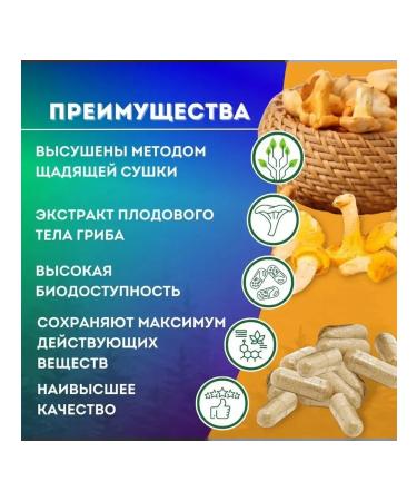 Naturalika Foxes in capsules of mushrooms from parasites for weight loss 60+2 pcs - Buy Online on GoSupps.com