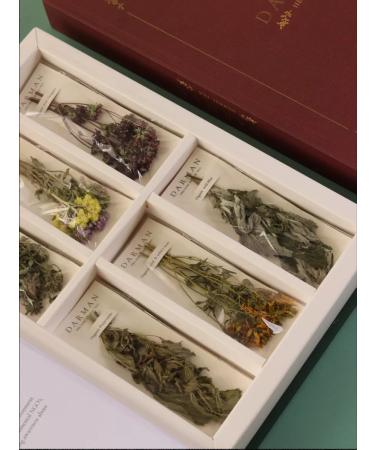 Darman Gift set Tea Book of grass and flowers - Buy Online on GoSupps.com