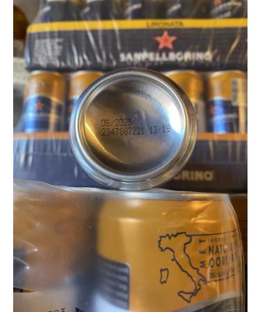 Sanpellegrino orange 0 33 l x24 pieces - Buy Online on GoSupps.com