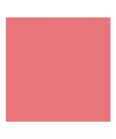 DEBORAH Milano Blush baked hi-tech blus tone 64 pink 4g - Buy Online on GoSupps.com