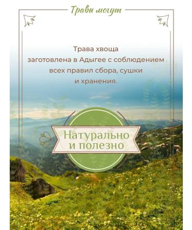 Herbs Can Horsetail of field grass dried - Buy Online on GoSupps.com