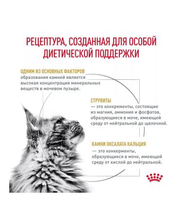 ROYAL CANIN Dry food for cats Urinary S o 1.5kg - Buy Online on GoSupps.com