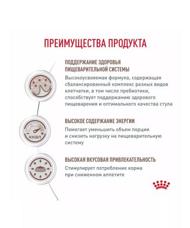 ROYAL CANIN Dry food for adult cats GastroinTestinal 2kg - Buy Online on GoSupps.com