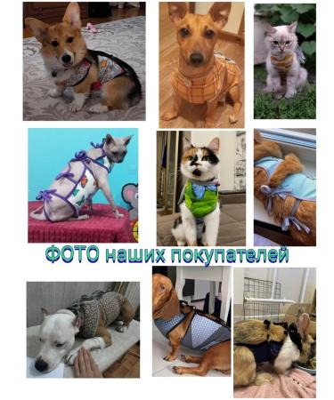 ANY PET Popon postoperative 2-k - Buy Online on GoSupps.com