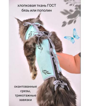 ANY PET Popon postoperative 2-k - Buy Online on GoSupps.com