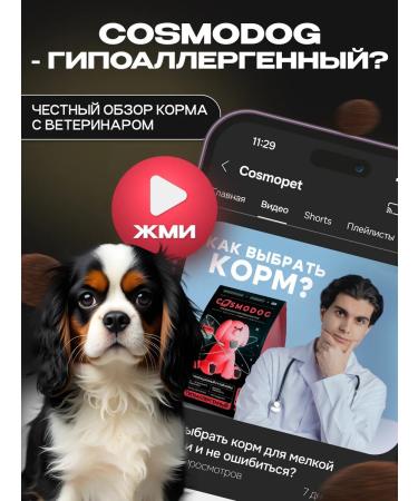 cosmodog Feed for dogs dry 0.8 kg for small breeds with lamb - Buy Online on GoSupps.com