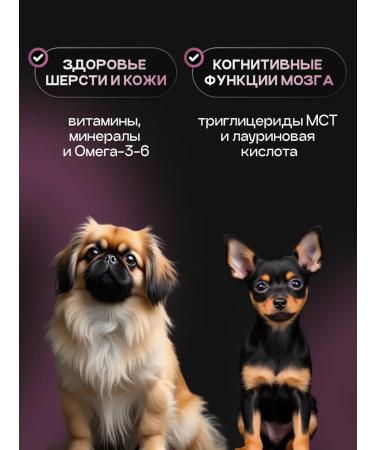 cosmodog Feed for dogs dry 5 kg for small breeds with turkey - Buy Online on GoSupps.com