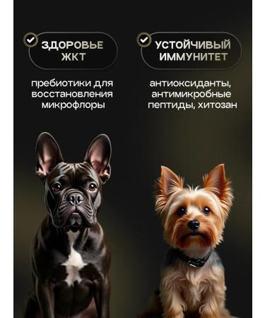 cosmodog Dry feed 10 kg for small breeds with lamb - Buy Online on GoSupps.com