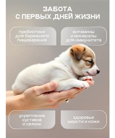 cosmodog Dry food for puppies of all rocks 0.8 kg - Buy Online on GoSupps.com