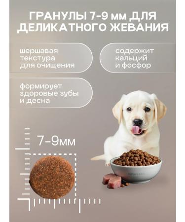cosmodog Dry food for puppies of all rocks 0.8 kg - Buy Online on GoSupps.com