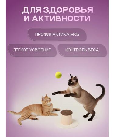 Cosmocat Dry food for cats sterilized 1.8 kg with fish - Buy Online on GoSupps.com