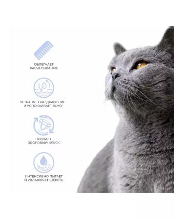 AMIGO Sharpun-anticoltun for dogs and cats 300 ml - Buy Online on GoSupps.com