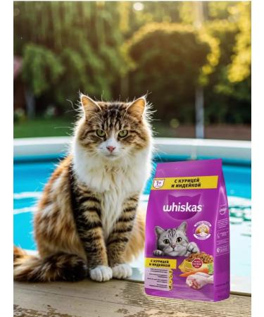 WHISKAS Dry food for cats pillows chicken and turkey 5kg - Buy Online on GoSupps.com