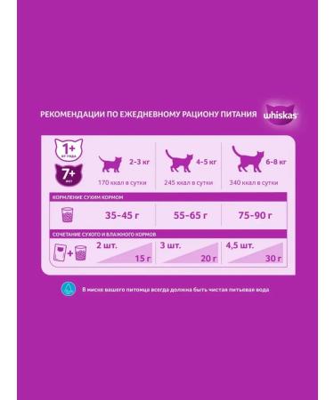 WHISKAS Dry food for cats pillows chicken and turkey 5kg - Buy Online on GoSupps.com