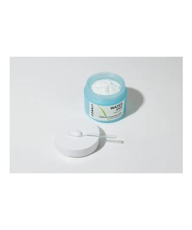 consly Moisturizing face cream with hyaluronic acid Korea - Buy Online on GoSupps.com